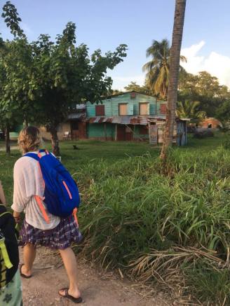 13880132_1249591081720599_808118725784811827_n