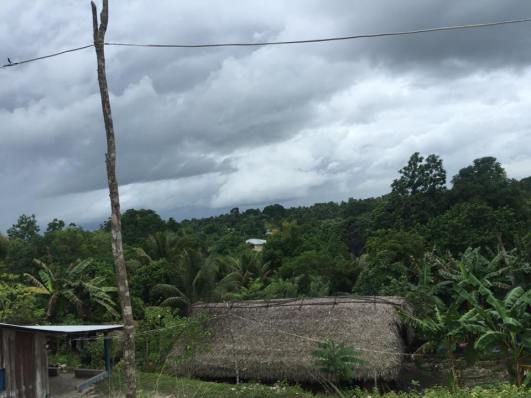 13906669_10154238891476226_4254595017423759195_n