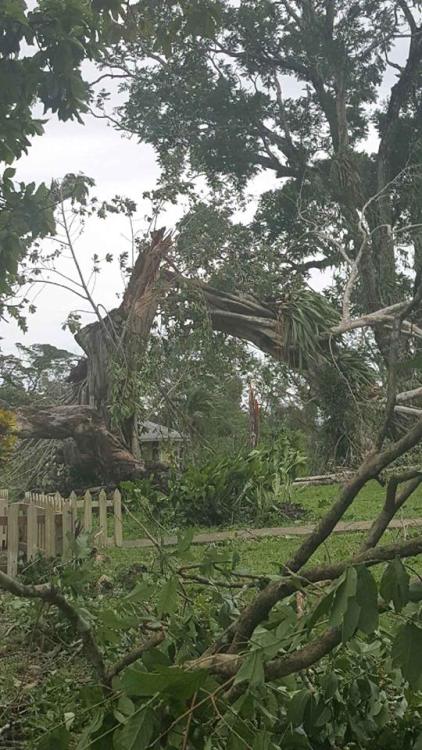 13876686_10210794493317821_8071969261472013854_n