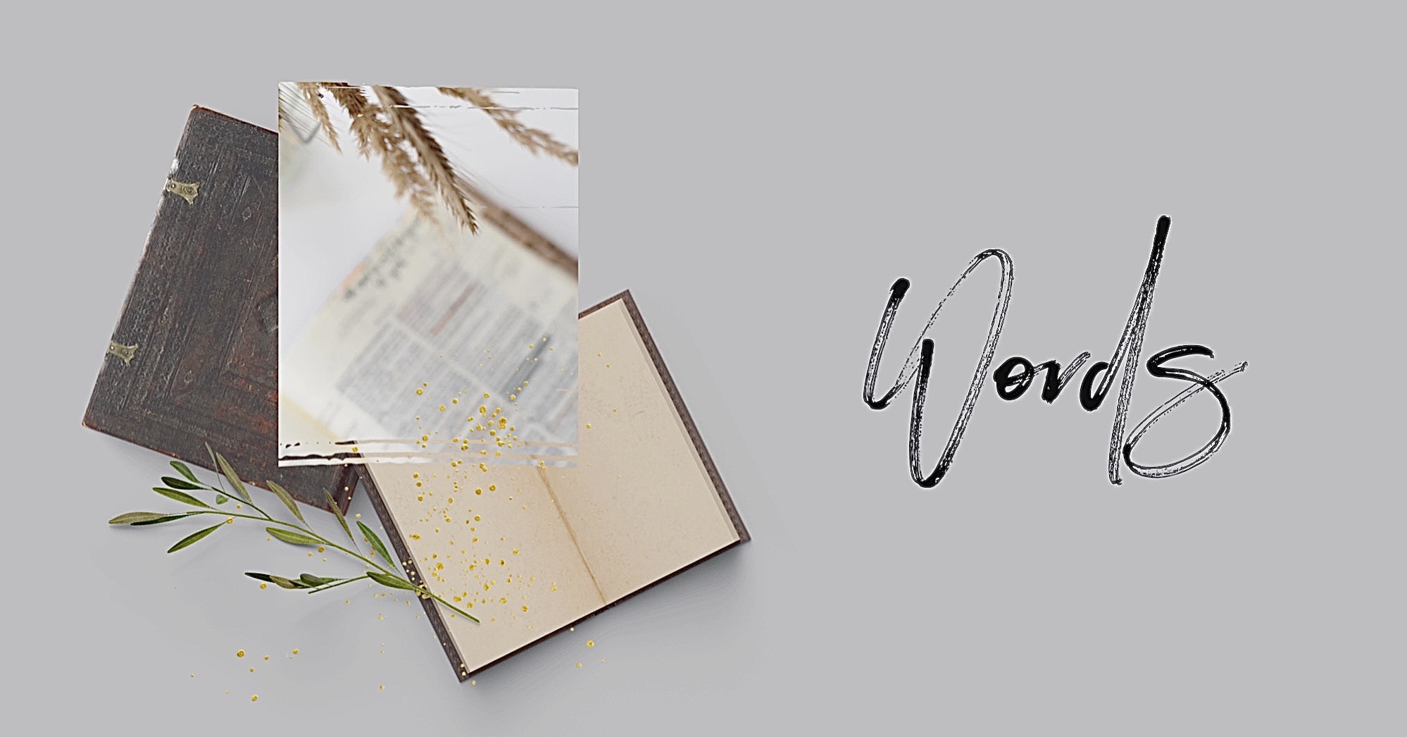 A4E3CD18-C578-4AE9-9EAB-D2FB92E8B3FE (1)